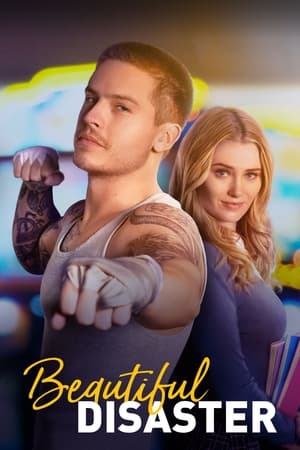 Beautiful Disaster 2023 Hindi Dual Audio – 480p